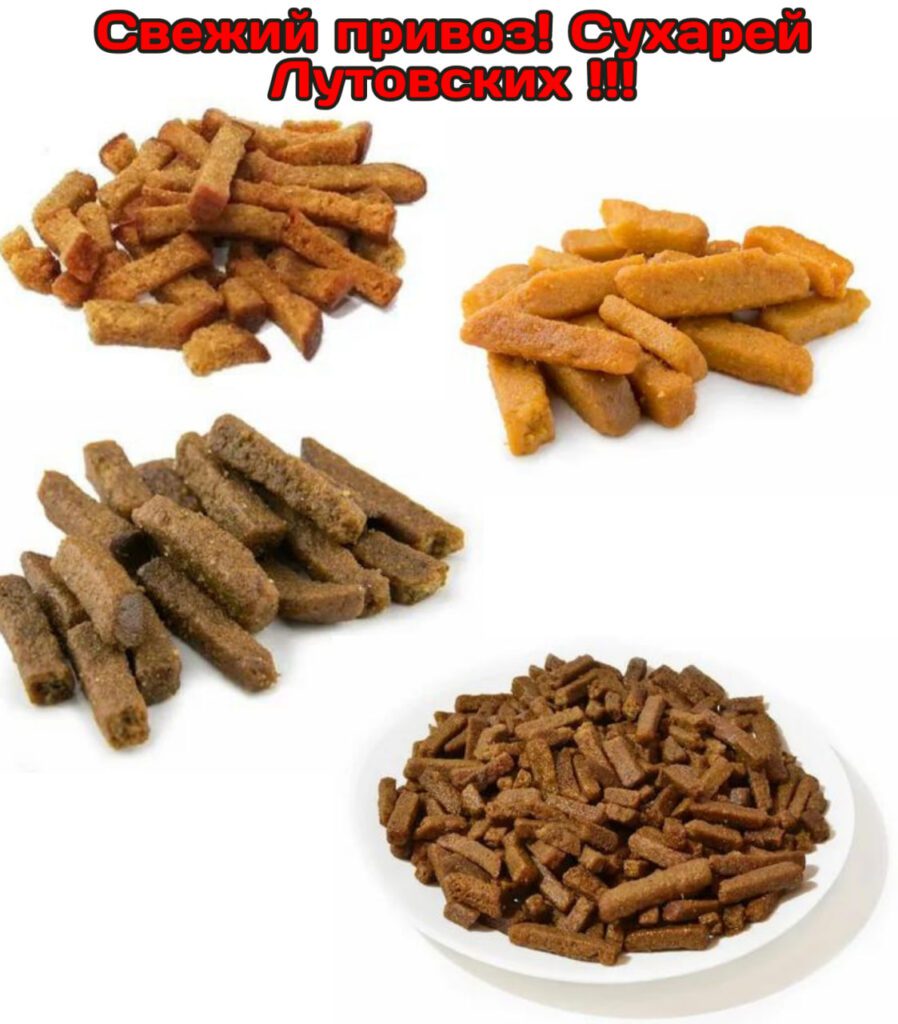 photo 2023 06 05 10 22 03